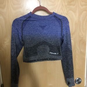 Gymshark Ombré Seamless Long Sleeve Crop Top